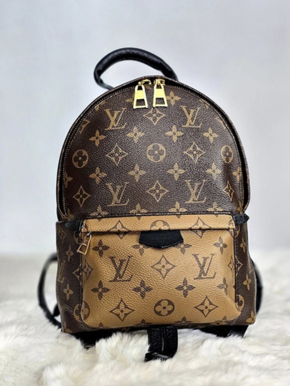 Louis Vuitton Palm Springs Mini Backpack Brown & Black
